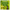 PROBURST BCAA Supreme supplement